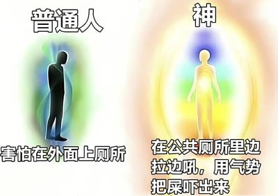 这张梗图通过左右对比展示了普通人和神在公共厕所的不同表现：普通人害怕在外上厕所，而神则霸气地边拉边吼，用气势解决问题，充满幽默夸张的效果。