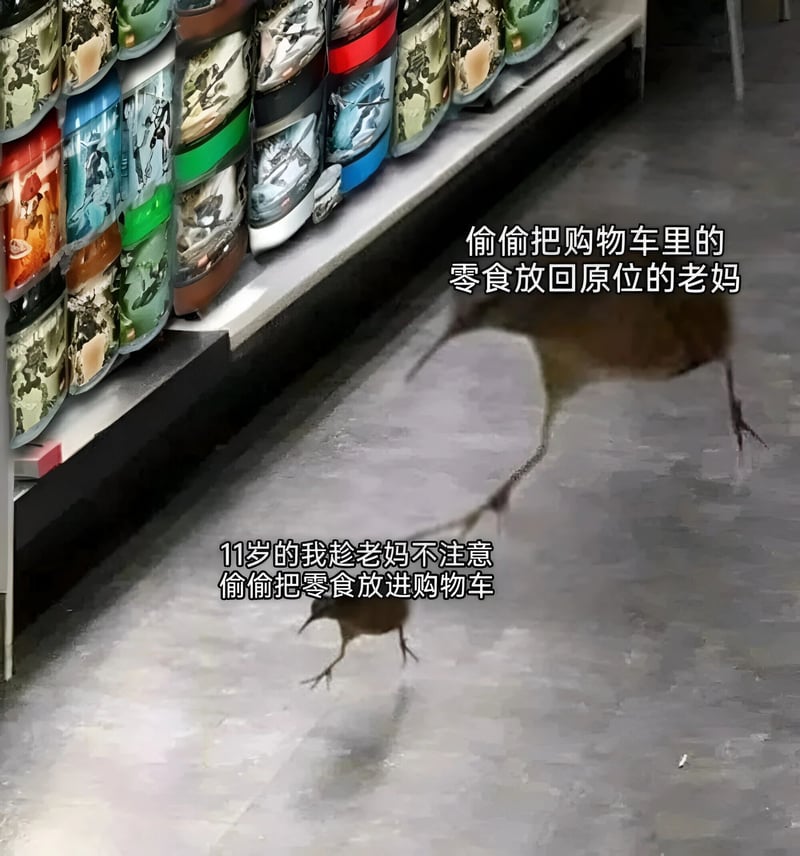 老妈