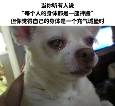 这张梗图上方有文字："当你听有人说'每个人的身体都是一座神殿'但你觉得自己的身体是一个充气城堡时"，下方是一只白色吉娃娃的特写照片。狗狗眼睛里似乎有泪痕，表情显得忧郁而无奈，完美诠释了文字中描述的自我调侃和对比心理。