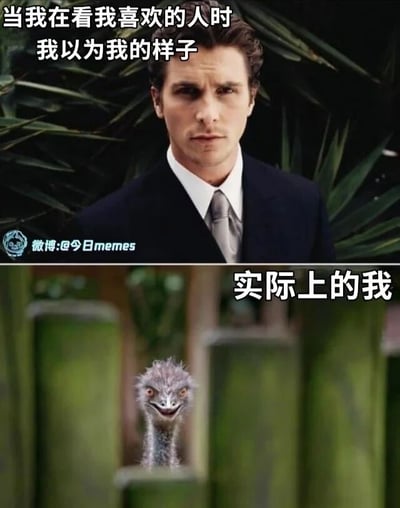 这是一张上下拼接的对比类搞笑梗图，通过理想与现实的强烈反差来调侃人们在看到喜欢的人时的心理状态。上半部分是穿着深色西装的克里斯蒂安·贝尔，他眼神深邃、表情冷峻，看起来沉稳帅气，配文“当我在看我喜欢的人时 我以为我的样子”，代表着人们想象中自己在喜欢的人面前应该展现出的帅气、沉稳的形象；下半部分是一只从缝隙里探出头的鸵鸟，它嘴角上扬，带着痴傻又花痴的笑意，配文“实际上的我”，生动还原了人们在实际看到喜欢的人时，忍不住失态、表现得傻乎乎的真实模样。整张图用夸张的反差感，精准戳中了很多人在面对喜欢的人时的心理落差，十分搞笑且有共鸣。