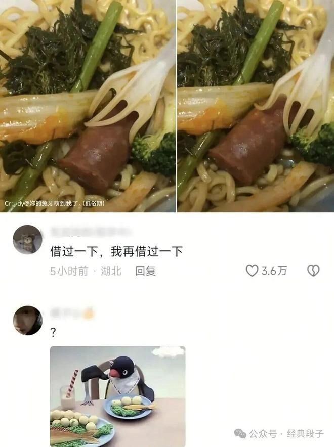 企鹅家族