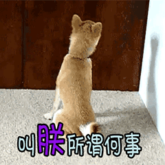 狗子化身皇上：叫朕所谓何事？