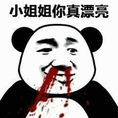 熊猫头流鼻血夸小姐姐表情包