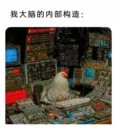 这是一张自嘲风格的搞笑网络梗图，上方配有文字“我大脑的内部构造：”，下方主体是经过P图合成的画面：一只白色公鸡神态平静地端坐于布满各类闪烁指示灯、显示屏和复杂按钮的精密仪器操作台前，周围仪器密密麻麻，营造出高端复杂的控制中心氛围。通过“看似精密的大脑运作系统”与“无逻辑的公鸡操控者”的强烈反差，生动调侃自身大脑看似有复杂运作机制，实际内部思绪混乱、运作毫无章法，精准表达出思绪杂乱、大脑宕机时的自嘲情绪。