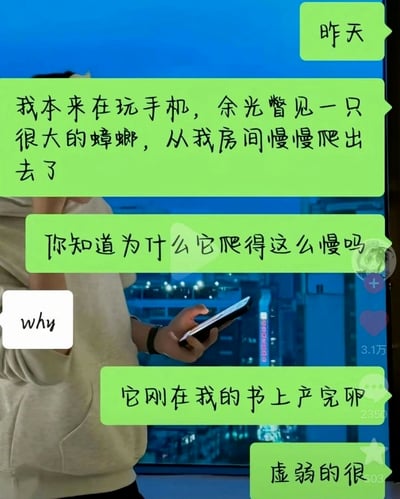这是一张图文混排的静态图，背景是一名穿浅色卫衣的男子站在落地窗边手持手机的画面，窗前是夜晚的城市景观。画面上层叠加了微信风格的聊天对话，绿色气泡的发言者先提及自己看到大蟑螂缓慢从房间爬出，提问对方蟑螂爬得慢的原因，在对方回复后揭晓答案是蟑螂刚在自己书上产完卵非常虚弱，内容荒诞有反差感，趣味性强。