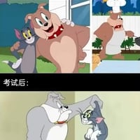 猫和老鼠