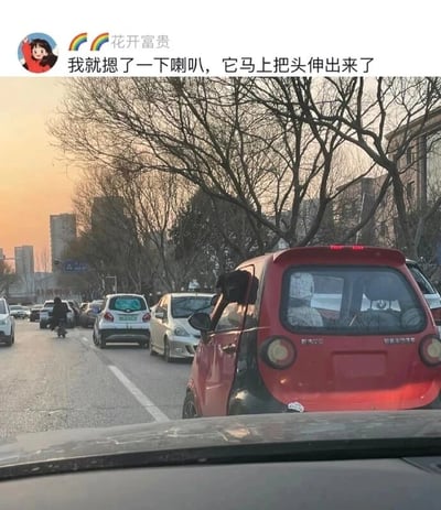 这是一张从车内视角拍摄的城市黄昏堵车场景的照片，画面中道路上有多辆汽车排队缓行，最前方的红色“都市贝贝”知豆小型电动车的驾驶位车门向外打开，从后方视角看去，打开的车门与车身的组合形态恰好形成了类似动物伸出头部的视觉错觉。上方配文“我就摁了一下喇叭，它马上把头伸出来了”，将这个视觉错觉拟人化，制造出幽默搞笑的效果，仿佛是被按喇叭后小车“生气伸头”。背景中可以看到光秃的树木和城市高楼，整体氛围是日常通勤的堵车场景，却因这个巧合的视觉错觉增添了趣味。