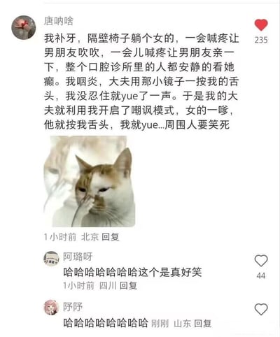 用户分享补牙时遇到情侣秀恩爱的搞笑经历：隔壁女生频繁喊疼求男友安慰，而自己因咽炎被医生按舌头发出“yue”声，医生竟借此反击秀恩爱行为，引发诊所爆笑。配图为一只捂鼻子的嫌弃猫表情包，下方网友评论清一色“哈哈哈哈”，画面充满反差萌和黑色幽默。
