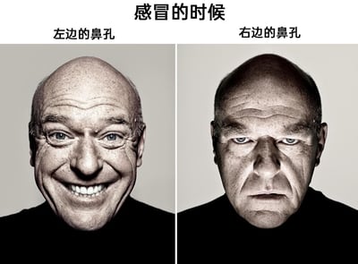 这是一张左右分栏的对比式搞笑表情包，图片顶部标注文字“感冒的时候”，左侧栏标注“左边的鼻孔”，对应人物是开怀大笑、露出整齐牙齿、表情极度轻松愉悦的状态，生动模拟出鼻孔通畅时的舒适感；右侧栏标注“右边的鼻孔”，对应人物是眉头紧锁、面部紧绷、表情严肃烦躁的状态，精准还原出鼻孔堵塞时的憋屈感。这张图用拟人化的表情反差，形象又搞笑地展现了感冒时鼻孔轮流堵塞的真实日常，极易引发有相同经历的人的共鸣。