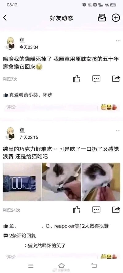 这是一张QQ空间的好友动态截图，展示了用户“鱼”发布的两条具有因果关联的趣味动态：第一条发布于昨天22:16，内容是用户觉得100%纯黑巧克力难吃，扔了浪费于是喂给猫，附带了巧克力包装和喂猫的三张图片，浏览24次，有12人点赞，评论区有人调侃“猫突然释怀的笑了”；第二条发布于今天03:34，内容是用户哭诉自己的猫死掉了，还玩笑式地说愿意用原耽女孩的五十年寿命换猫回来，浏览7次，有2人点赞。两条动态前后呼应，形成了搞笑的因果梗，暗示猫的死亡与被喂食100%黑巧克力有关，评论区的互动也进一步增添了趣味性，是社交平台上常见的原生趣味内容。