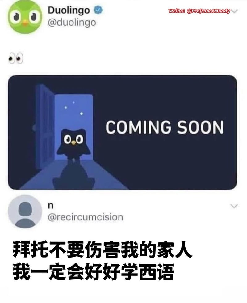 多邻国猫头鹰