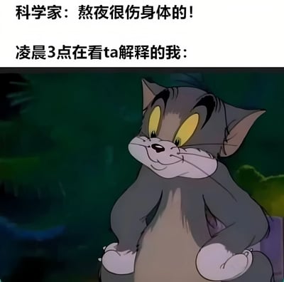 图片上半部分为两行文字，分别是“科学家：熬夜很伤身体的！”和“凌晨3点在看ta解释的我：”，下半部分是动画《猫和老鼠》中汤姆猫的截图。汤姆猫呈现出狡黠得意的表情，坐姿侧视，形象地表现了明知熬夜伤身却仍在凌晨3点熬夜查看相关解释的矛盾行为，通过幽默的方式自嘲年轻人熬夜的普遍现象。