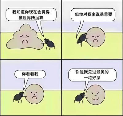 四格漫画形式的暖心又搞笑的梗图。第一格中，一朵悲伤的云朵垂头丧气，旁边的蚂蚁安慰道："我知道你现在会觉得被世界所抛弃"；第二格蚂蚁继续说："但你对我来说很重要"；第三格蚂蚁认真地说："你看着我"；第四格蚂蚁说出反转金句："你是我见过最美的一坨好屎"。通过拟人化的手法和意想不到的转折制造幽默效果。
