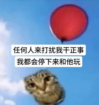 图片背景为蓝天白云，上方漂浮着一个红色气球，底部有一张猫脸特写。中间叠加两行白色文字：“任何人来打扰我干正事 我都会停下来和他玩”。整体通过可爱的猫脸和气球元素，幽默地表达了人们容易被干扰、放下正事去娱乐的轻松场景，引发对拖延行为的共鸣。