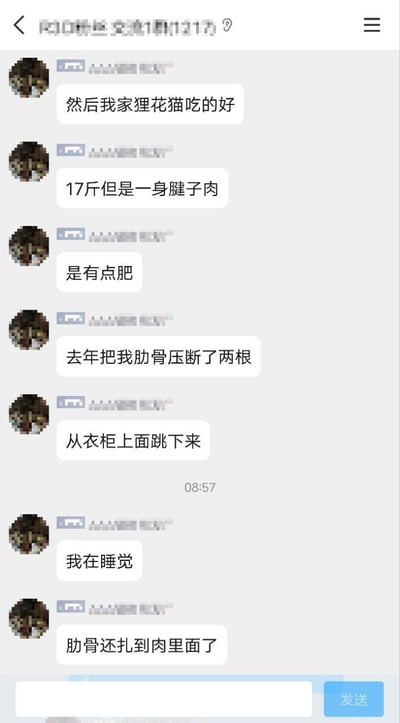 这是一段宠物交流群里的聊天记录，群成员分享自家17斤的狸花猫趣事：这只狸花猫因伙食好一身腱子肉，某天从衣柜上跳下，砸在正在睡觉的自己身上，直接压断两根肋骨，甚至肋骨扎进肉里，既好笑又让人心疼主人的离谱养宠意外。