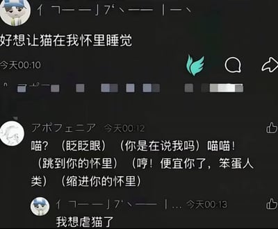 这是一张社交平台的评论区截图，共包含三条连续的评论：第一条评论发布于00:10，发布者表示自己“好想让猫在我怀里睡觉”，表达出对猫的喜爱；第二条是另一名用户在00:12的回复，该用户玩猫拟人的角色扮演梗，模仿猫的语气称会跳到发布者怀里撒娇，回应对方想要猫亲近的愿望；没想到第一条评论的发布者在00:13直接回复“我想虐猫了”，前后态度形成巨大的恶意反转，打破了原本的温馨氛围，形成强烈的反差感。