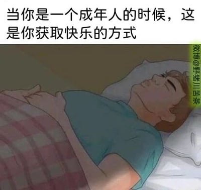 这是一张单幅静态的文字加注卡通图，画面主体是一位穿着蓝色上衣、盖着格子被子的卡通男性，正躺在床上神态放松地睡觉。图片顶部配有文字“当你是一个成年人的时候，这是你获取快乐的方式”，以幽默调侃的方式，点出在生活与工作压力下，成年人的快乐变得格外简单，好好休息睡觉就成了一种珍贵的快乐来源，能够引发众多成年人的情感共鸣。图片右侧带有水印“微博@野猪川苦茶”，标注了内容的创作来源。