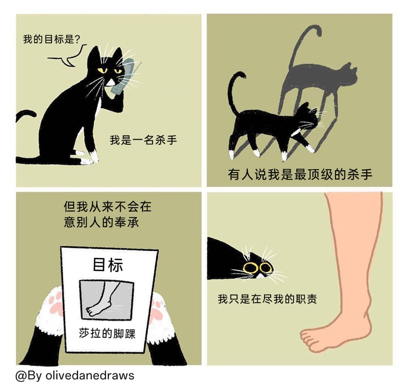 杀手（自称）