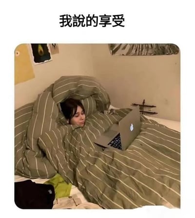 这是一张文字加注的静态单图，画面里一位女性将带有浅条纹的深绿色被子堆叠起来，把自己围在中间，打造出一个类似靠椅的专属舒适小空间，她正窝在这个‘小窝’里使用苹果笔记本电脑，脸上带着放松惬意的神情。图片上方配有文字‘我说的享受’，精准表达了这种不用起身、完全沉浸在慵懒宅家状态里做自己的事，就是当下最惬意享受的生活态度，戳中了很多人偏爱宅家放松的心理，充满生活趣味。