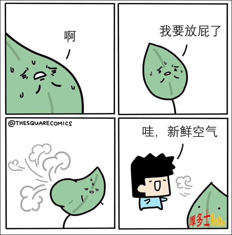 TheSquareComics（方块漫画）
