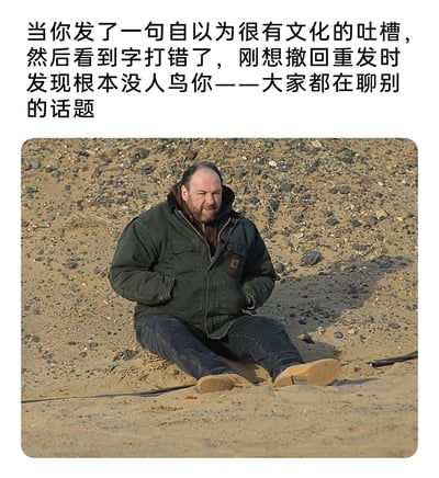 这是一张用来调侃社交尴尬场景的梗图，上方配文详细描述了一个日常社死瞬间：自己精心编辑了一句自认为有文化的吐槽内容发送出去后，发现打错了字，正准备撤回重发时，却发现根本没有人关注这条消息，所有人都在讨论其他话题。下方搭配的是美剧《黑道家族》的截图，图中中年男士托尼·瑟普拉诺坐在布满碎石的沙地上，双手插兜，面部表情憋屈又失落，完美呼应了配文里那种发言被忽略、无人在意的窘迫与低落情绪，让观者很容易共情这种在群体中被忽视的尴尬感受。