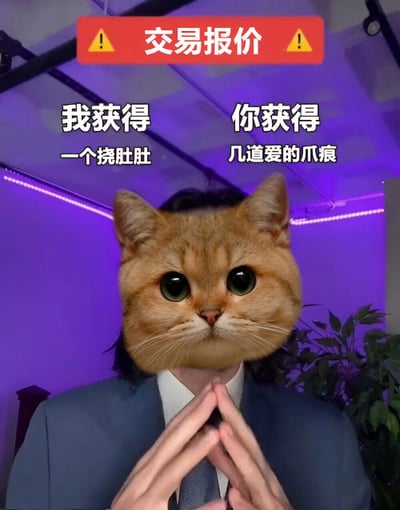 图片上方有红色的'交易报价'横幅，带有黄色警告图标。横幅下方分为左右两部分文字，左侧写着'我获得 一个挠肚肚'，右侧写着'你获得 几道爱的爪痕'。图片主体是一个穿着西装、双手合十的人物，但其面部被替换成一只表情无辜的橘猫脸，背景为紫色灯光环境，整体营造出幽默搞笑的氛围，调侃了宠物互动中常见的'交易'场景。