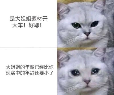 这是一张上下对比的图文混排图，由同一只银渐层猫咪的两张不同状态的图片和对应文字组成。上方的猫咪表情平静，配文“是大姐姐题材开大车！好耶！”，传递出对“大姐姐”相关题材内容的兴奋与期待；下方的猫咪眼眶含泪，神情低落，配文“大姐姐的年龄已经比你现实中的年龄还要小了”，瞬间将情绪从兴奋拉到失落，用强烈的情绪反差，调侃了当代人随着年龄增长，曾经认为的“大姐姐”如今年龄比自己还小的年龄焦虑，幽默又扎心，容易引发网友的共鸣。