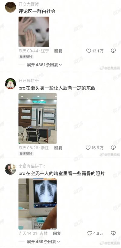 这是一张社交媒体评论区的截图合集，包含三条热门评论。第一条来自用户"开心大野猪"，评论内容为"评论区一群白社会"，配图是一只猫被人抚摸的照片，获得了13.1万点赞。第二条来自用户"旺旺碎饼干"，评论内容为"bro在街头卖一些让人后背一凉的东西"，配图是一家商店的内部照片，获得了15.6万点赞。第三条来自用户"小猫有猫饼干p"，评论内容为"bro在空无一人的暗室里看一些露骨的照片"，配图是一张X光片的电脑屏幕截图，获得了4.6万点赞。所有评论均显示"作者赞过"标识。