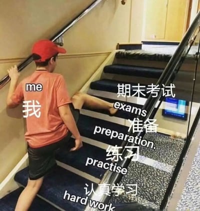 这是一张调侃学生期末备考状态的趣味梗图。图中一个被标注为“我（me）”的真人，在楼梯处直接跨过了写有“认真学习（hard work）”“练习（practise）”“准备（preparation.）”的多级台阶，抬腿就要踏上最上方标注着“期末考试（exams）”的台阶。该图用视觉化的夸张方式，生动还原了不少学生平时疏于学习、练习和备考准备，临近期末直接硬着头皮面对考试的真实又搞笑的状态，精准戳中拖延式备考的学生群体的共鸣点。