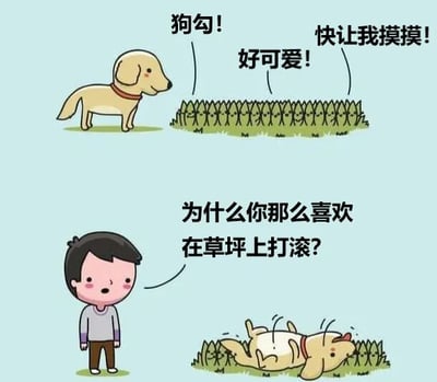 这是一幅两格连环卡通漫画，描绘了狗狗与人类的温馨互动场景。上格中，一只戴着红色项圈的黄色小狗站在草地上，旁边一群小身影（暗示围观人群）发出“狗勾！好可爱！快让我摸摸！”的感叹，充满喜爱之情。下格中，一位黑发小男孩（身穿紫色上衣和棕色裤子）疑惑地问：“为什么你那么喜欢在草坪上打滚？”，而小狗正四脚朝天在草坪上开心地打滚，画面生动展现了宠物的可爱日常。