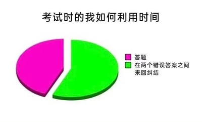 这是一张以考试时间利用为主题的幽默梗图。图片上方有标题“考试时的我如何利用时间”，下方是一个被分为两部分的3D饼图：左侧较小的粉色区域标注为“答题”，右侧占比更大的绿色区域标注为“在两个错误答案之间来回纠结”。通过夸张的比例对比，调侃学生在考试中常常将大量时间浪费在纠结错误选项上，而非有效答题的真实场景，充满自嘲和共鸣感。