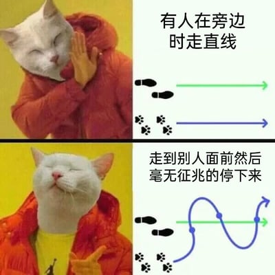 这是一张上下分栏的对比式网络梗图，采用了猫咪头部与人类身体合成的趣味形象。上半部分展示了在有旁人在场时的走路状态：左侧是闭眼、抬手做出无奈嫌弃姿态的合成猫咪，右侧配有文字“有人在旁边时走直线”，同时用绿色直线代表人类行走路线，蓝色直线代表猫咪行走路线，表现出此时人和猫都会规规矩矩走直线的状态。下半部分则展示了调皮的走路状态：左侧是仰头、做出得意手势的合成猫咪，右侧配有文字“走到别人面前然后毫无征兆的停下来”，用绿色直线作为参考路线，蓝色波浪线代表实际行走路线，表现出人和猫都会故意绕路走到他人面前突然停下的调皮行为，通过这种日常行为的反差对比制造幽默效果，调侃宠物与部分人类的这类可爱又调皮的小习惯，容易引发网友的共鸣。
