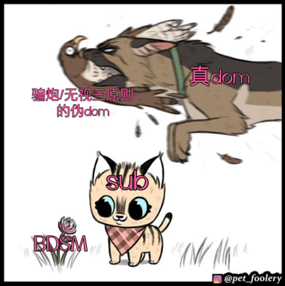 这张梗图通过动物拟人化的方式对比了BDSM文化中的不同角色类型。图中上方是一只凶猛的狗，嘴里叼着一只鸟，周围有羽毛飞舞，标注为“真dom”（真正的支配者）。左侧文字标注“骗炮/无视三原则的伪dom”（欺骗性伴侣/无视三原则的假支配者）。下方是一只戴着格子围巾的可爱小猫，有着大大的蓝色眼睛，标注为“sub”（服从者），旁边写着“BDSM”。整体通过视觉对比展现了真假支配者的区别，暗示了尊重原则的重要性。
