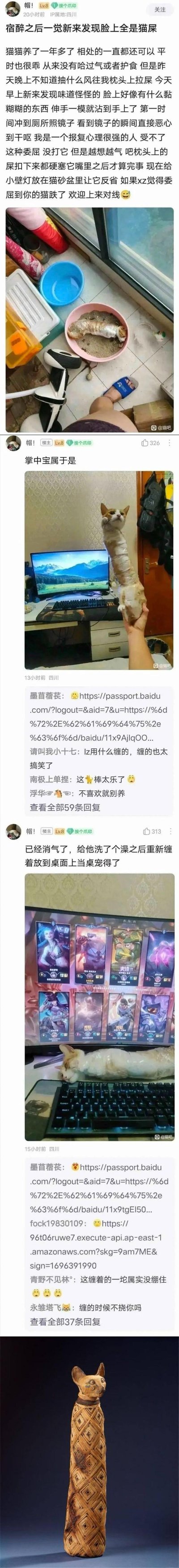 这是一组来自百度贴吧猫吧的用户分享帖，楼主讲述自己宿醉醒来，发现养了一年多的乖猫在枕头上拉屎，甚至弄到自己脸上，愤怒之下将猫用材料裹成长条放进猫砂盆“反省”，还把猫屎塞进猫嘴里；之后消气，又把洗干净的猫裹成“长条桌宠”放在键盘上，最后还附上了一张网络流传的“猫领带”恶搞梗图。评论区网友有的吐槽楼主的行为过激，有的觉得裹猫的样子十分搞笑。