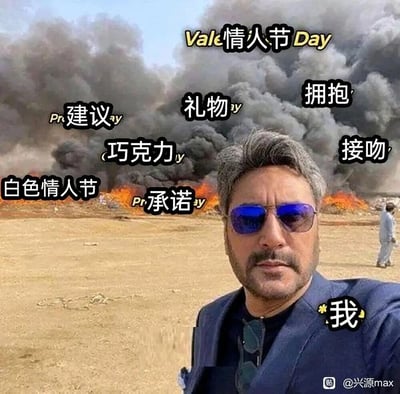 这是一张经过改编的网络梗图，以国外男子在爆炸荒地前自拍的原图为基础，在背景的爆炸区域添加了一系列情人节相关的元素文字，包括“情人节”“礼物”“拥抱”“巧克力”“承诺”“白色情人节”“建议”“接吻”，将前景自拍的男子标注为“我”。用爆炸的混乱场景象征情人节的各种相关活动与氛围，而“我”则淡定自拍，生动地表达了单身人士在情人节期间，对周遭情人节相关元素的疏离感与置身事外的状态，引发单身群体的共鸣。