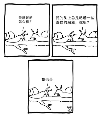 这是一幅三格连环黑白线稿漫画，描绘了两只蜗牛在树枝上相遇对话的场景。第一格中，左侧蜗牛向右侧蜗牛发出问候：“最近过的怎么样？”；第二格中，右侧蜗牛回应，诉说自己的困扰：“我的头上总是粘着一些奇怪的粘液，你呢？”；第三格中，左侧蜗牛表示自己也有同样的状况：“我也是”。漫画利用蜗牛自身会分泌粘液的生理特性制造无厘头幽默，两只蜗牛并未意识到头上的粘液其实是蜗牛类生物的分泌物，这种“当局者迷”的状态让对话充满了搞笑效果。