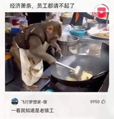 这是一张职场相关的搞笑梗图，属于图文混排的社交媒体内容，顶部配文为“经济萧条，员工都请不起了”。图中主体是一只穿着棕色小背心、系着脏围裙的猴子，站在餐饮店铺的灶台边，动作熟练地握着锅铲翻炒大炒锅内的食材，背景可见后厨的各类锅具和其他工作人员。下方是网友的评论内容，用户“飞行梦想家-發”评论“一看就知道是老猿工”，该评论获得5950个赞，用“猿”和“员”的谐音玩梗，调侃打工人如同被压榨的廉价劳动力，对应了顶部配文吐槽用工成本的内容，充满讽刺趣味。
