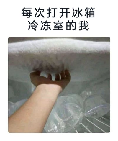图片上方有黑色文字"每次打开冰箱冷冻室的我"，下方是一张实拍照片。照片中一只手正在伸进结满厚厚冰霜的冰箱冷冻室，手指艰难地拨开冰面，冷冻室内还放着几个透明的塑料瓶。图片通过夸张的冰霜厚度和手部动作，幽默地表现了打开结霜严重的冷冻室时的狼狈状态，引发观众共鸣。