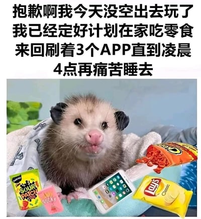 这是一张充满共鸣感的搞笑表情包，画面主体是一只裹着毯子的负鼠，它嘴角沾着食物残渣，神态满足又慵懒，周围摆放着Sour Patch软糖、Rocky糖果、乐事经典薯片、奇多零食以及一部布满APP图标的智能手机。图片上方配有中文文案：“抱歉啊我今天没空出去玩了，我已经定好计划在家吃零食，来回刷着3个APP直到凌晨4点再痛苦睡去”，通过拟人化的方式，精准刻画了当代部分年轻人拒绝外出社交，选择宅在家中放纵自己、熬夜刷手机吃零食的“摆烂”日常，生动地传递出不想出门、只想宅家放松的心情，容易引发年轻人的情感共鸣。