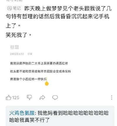 这是一张笔记类社交媒体平台的截图，展示了一位用户的原创内容。用户称自己在梦中遇到一位老头，对方说了几句“有哲理”的话，自己醒后昏昏沉沉地将这些话记录下来，随后放出了三句完全无逻辑、充满荒诞感的内容：“葫芦娃的二大爷上厕所要扔俩西红柿”“枕头套不能和笤帚接触不然屁股会变成鱼饲料”“熬夜像个小西红柿一样快乐”，内容毫无关联却充满搞笑的反差感。该笔记获得了125个点赞，下方有一条来自用户“火鸡色氨酸”的评论，用一连串的“哈哈”表达了自己被逗笑的强烈情绪。