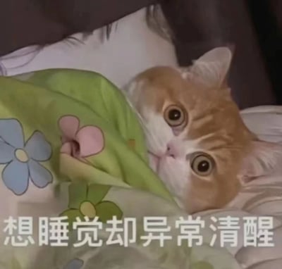一只橘白相间的猫咪躺在床上，头枕着白色枕头，身上盖着印有蓝色和粉色花朵图案的绿色毯子，仅露出小脑袋。猫咪睁着又大又圆的眼睛，眼神透露出想睡却睡不着的无奈与清醒。图片底部白色文字“想睡觉却异常清醒”精准概括了身体疲惫但精神亢奋的矛盾状态，贴合现代人偶尔失眠的真实写照。