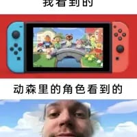 这是一张上下拼接的对比类梗图，上图为任天堂Switch设备界面显示的《集合啦！动物森友会》游戏画面，配文“我看到的”，呈现游戏里一众动物角色在桥上欢聚的温馨卡通场景；下图是一张真人自拍，配文“动森里的角色看到的”，用玩家的自拍模拟游戏角色看向玩家的视角，通过这种视角反差制造出滑稽搞笑的效果，精准戳中动森玩家的趣味笑点。