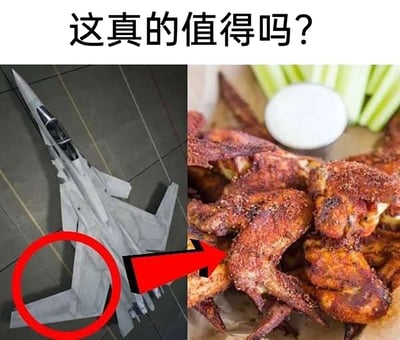 这是一张左右拼接的恶搞类梗图，顶部配有文字“这真的值得吗？”。左侧展示了一架停放在室内的战斗机，并用红圈重点标注出其尾翼部分；右侧是一盘撒满调味料的烤鸡翅，一个红色箭头将战斗机的尾翼指向烤鸡翅，利用战斗机尾翼的外形与烤鸡翅的形状相似性，制造出“用昂贵的战机尾翼制作成烤鸡翅”的荒诞视觉效果，通过军事装备和日常廉价食物的巨大价值反差，调侃“为了美食付出极高代价是否值得”的无厘头话题，充满搞笑与荒诞感。
