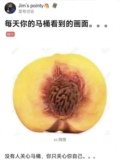 这是一张在社交平台发布的趣味创意梗图，由用户Jim's pointy发起讨论。图中上方配文“每天你的马桶看到的画面。。。”，中间展示了一个被去掉部分果肉、露出桃核的黄桃，从马桶的视角看，这个黄桃的形态与人坐在马桶上的下半身视觉效果高度相似，形成趣味错位；图下方配文“没有人关心马桶，你只关心你自己。。。”，以拟人的方式调侃人们日常不会在意马桶的“视角”，用荒诞的联想制造搞笑氛围，图片底部标注来源为网络。