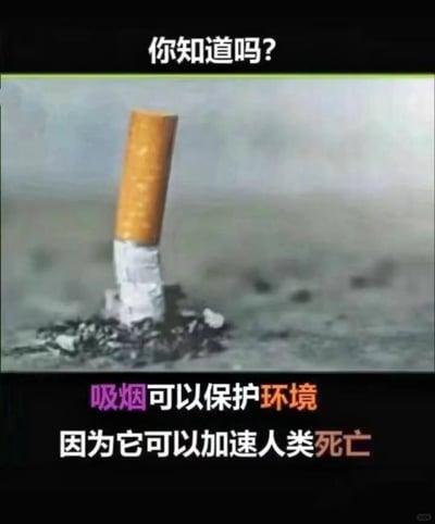 这是一张运用视觉错位手法创作的梗图，画面中的烟头通过拍摄角度或后期处理，呈现出类似工厂烟囱的视觉效果，搭配上方和下方的反讽文字：“你知道吗？吸烟可以保护环境，因为它可以加速人类死亡”。图中用极端荒诞的逻辑进行反讽，表面上是说吸烟能保护环境，实际是通过“加速人类死亡”这个荒谬的点，来强调吸烟对人体健康的巨大危害，用黑色幽默的方式传递吸烟有害健康的警示信息。