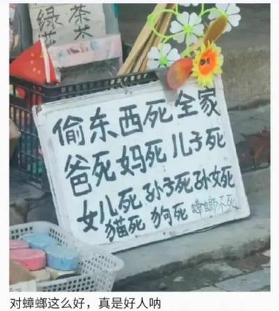 这张图片展示了一块手写的诅咒牌，上面写着对小偷的严厉诅咒，包括‘偷东西死全家’‘爸死妈死儿子死’等，但最后特意加上‘蟑螂不死’。图片底部配有文字‘对蟑螂这么好，真是好人呐’，形成强烈的讽刺和幽默效果，反差感十足。