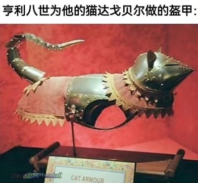 这张图片展示了一件陈列在展架上的猫用盔甲，盔甲为金属材质，包含带有猫耳造型与尖刺装饰的头部护具、覆盖躯干的护甲，以及分段式的尾部护甲，躯干护甲还搭配了带有花边的织物部件，展架下方的标牌标注着英文“CAT ARMOUR”。图片上方配有中文文字“亨利八世为他的猫达戈贝尔做的盔甲:”，营造出这件盔甲是英国君主为宠物定制的历史文物的错觉。实际上这件盔甲是现代制作的趣味工艺品，并非亨利八世时期的物品，网友通过这个虚假设定制造荒诞搞笑的反差感，将其包装成网络迷因传播。