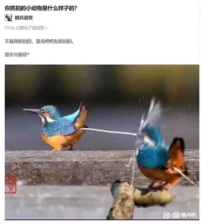 自然界/野生动物