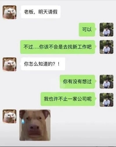 这是一张模拟微信聊天界面的静态截图，对话发生在员工与老板之间。员工以猫咪头像示人，向使用人物头像的老板提出次日请假的请求，老板先同意了请假，随后直接戳穿员工是要去寻找新工作，员工对此十分惊讶。接着老板抛出一句“我也许不止一家公司呢”，暗示自己可能就是员工即将面试的新公司的老板，制造出戏剧性的反转。最后员工发送了一张狗狗流汗的表情包，生动表现出自己尴尬、社死的心情，整个对话充满了巧合带来的搞笑感，是一则调侃职场求职社死场景的搞笑梗图。