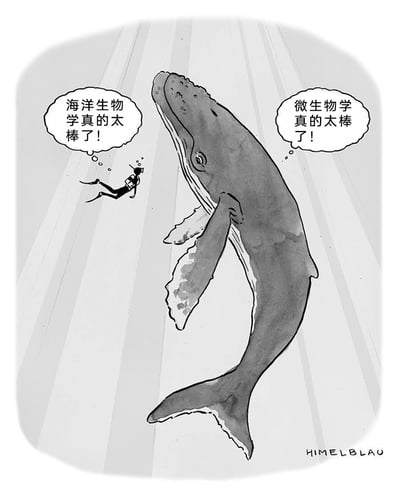 这是一幅黑白幽默卡通漫画，场景设定在深海中，阳光从海面投射下条状光线。画面里一位潜水员和一头鲸鱼在水中相遇，潜水员的对话气泡中写着“海洋生物学真的太棒了！”，表达出对宏观海洋生物研究的喜爱；而鲸鱼的对话气泡则写着“微生物学真的太棒了！”，以大型海洋生物关注微观学科的反差，制造出幽默效果，展现了不同视角下对生物学不同分支的热爱。
